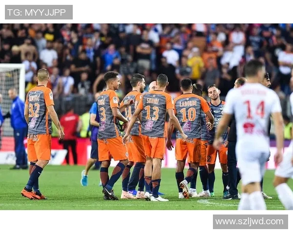 尼姆与安格斯比赛因天气原因延期球迷期待新赛程安排