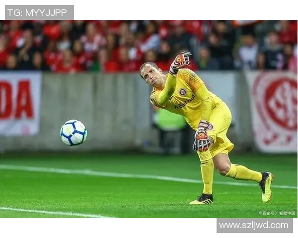 科林蒂安迎战奥瓦展现实力争夺胜利的精彩对决