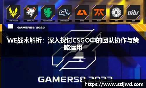 WE战术解析：深入探讨CSGO中的团队协作与策略运用