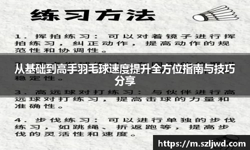 从基础到高手羽毛球速度提升全方位指南与技巧分享