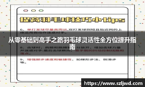 从零基础到高手之路羽毛球灵活性全方位提升指南