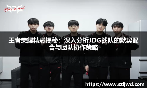 王者荣耀精彩揭秘：深入分析JDG战队的默契配合与团队协作策略